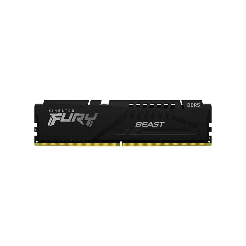 كينغستون FURY Beast
