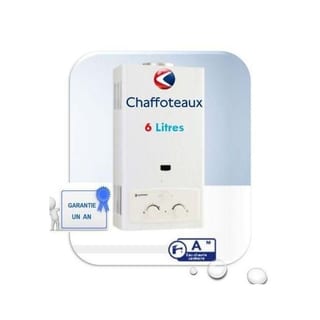 Chaffoteaux Leon