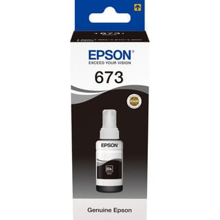 Epson 673