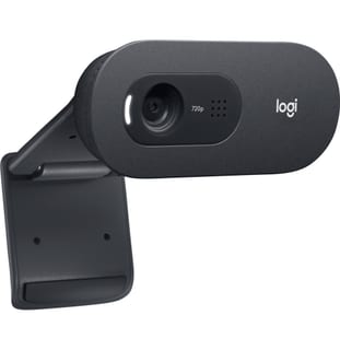 Logitech C505e