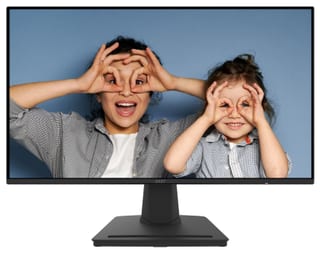 MSI PRO MP252