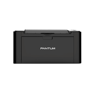 Pantum P2500