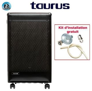 Taurus Porto