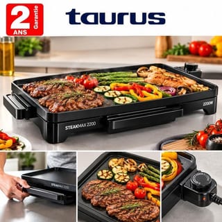 Taurus Steakmax 2200